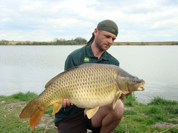 kolín-16.5kg.jpg